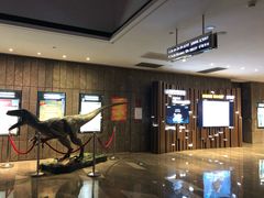 -武商摩尔影城(国广IMAX激光店)
