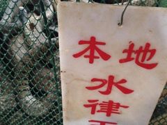 -荔城生鲜盛宴(番禺旗舰店)