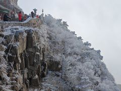 -华夏良子·足道SPA艾灸(龙潭路店)