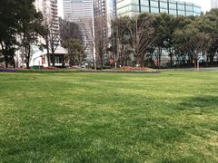 -北外滩滨江绿地