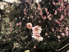 -赭山公园
