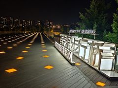 -南京眼步行桥