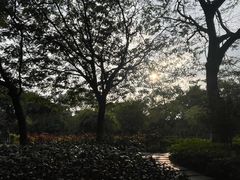 -晓港公园