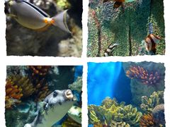 -福州罗源湾海洋世界旅游区