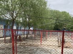 -宠物寄养训练学校