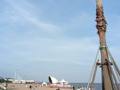 -碧海金沙