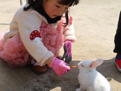 -前小桔亲子创意农场·草莓采摘·露营烧烤