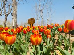 -廊坊文化艺术中心