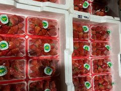 -菜园坝水果市场