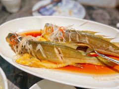 -前海沿·青岛菜(乐客城店)