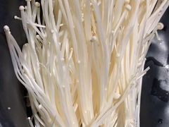 -莽子老火锅(大坪店)