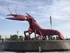 -小李子油焖大虾(天下城旗舰店)