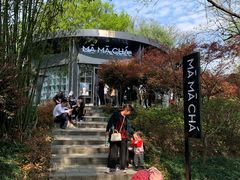 -MAMACHA妈妈茶(岳麓山店)