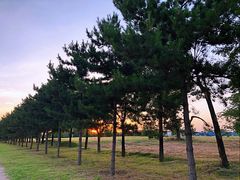 -汉长安城未央宫国家考古遗址公园