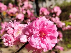 -皇城根遗址公园-东安门遗址