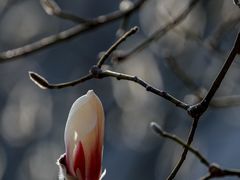 -东华门大街小区