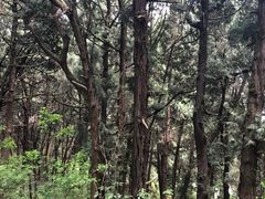 -七曲山风景区