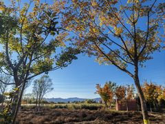 -永定河休闲森林公园