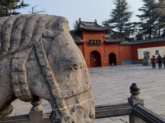 -洛阳白马寺
