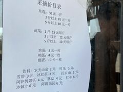 -甜心庄园·甜心草莓采摘园(西青中北店)