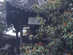 -何园