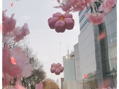 -金茂览秀城