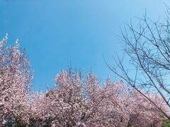 -洨河生态公园