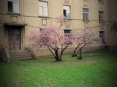 -辽宁大学(崇山校区)