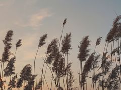 -太阳宫公园