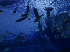 -多彩贵州城极地海洋世界