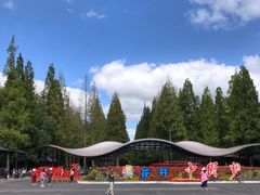 -东平国家森林公园