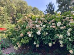 -黑龙江省森林植物园