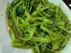 -新合益乡村农庄