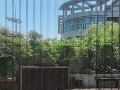 -九福楼大酒店