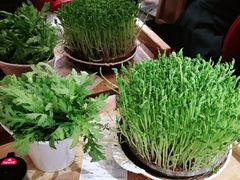 -好彩猪肚鸡(正弘城店)