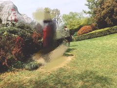 -桃花岛景观公园