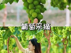 -沉浸北京·团建旅行·密室剧本杀·年会会议轰趴拓展