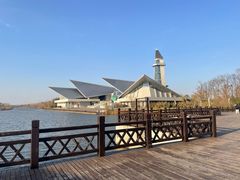 -盐城丹顶鹤湿地生态旅游区
