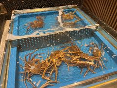 水产区-蟹将军·松叶蟹和牛日料放题自助(K11店)