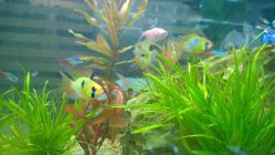 WP_20141108_001-小左美发