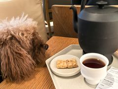 -tea'stone (万象天地店)