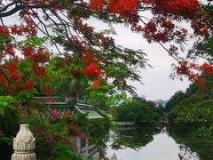 -星湖旅游景区七星岩