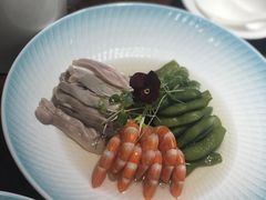 -乔家栅(襄阳南路店)