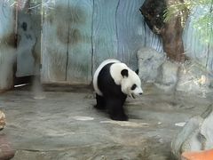 -海南热带野生动植物园