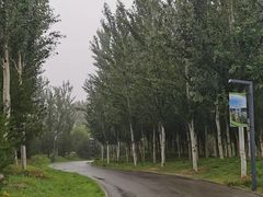 -东郊湿地公园