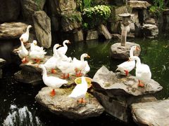 -西安青龙寺遗址景区