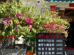 -大理.老字号渝记酸萝卜乌鱼(古城总店)