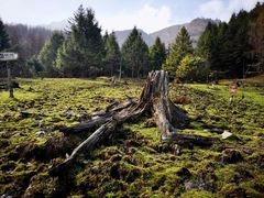 -硗碛藏寨·神木垒景区