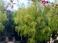-禹州森林植物园