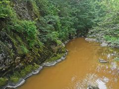 -茅兰沟国家森林公园